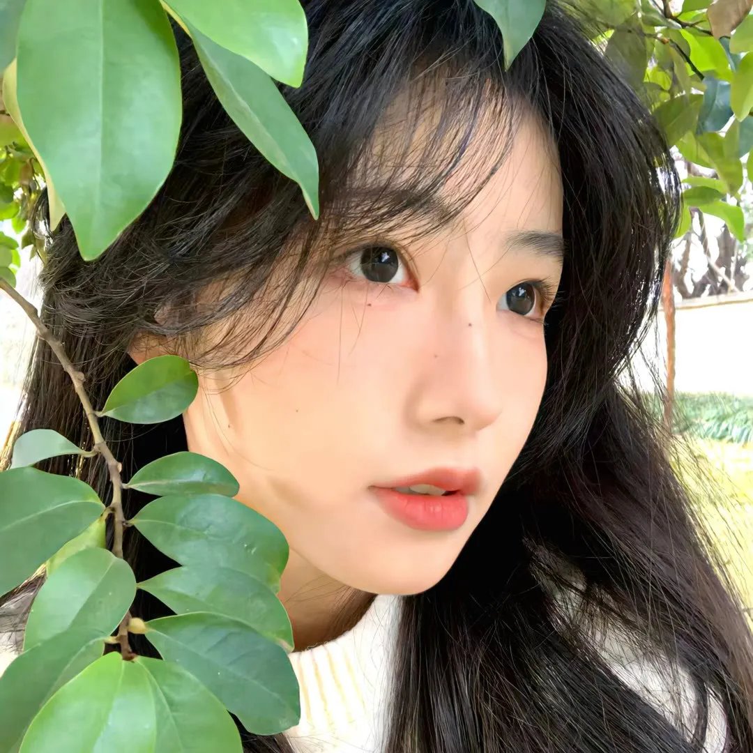 艾莲妹妹